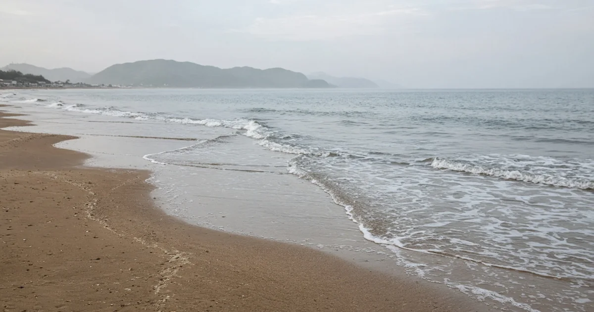 穏やかに見える日の流れを確認する