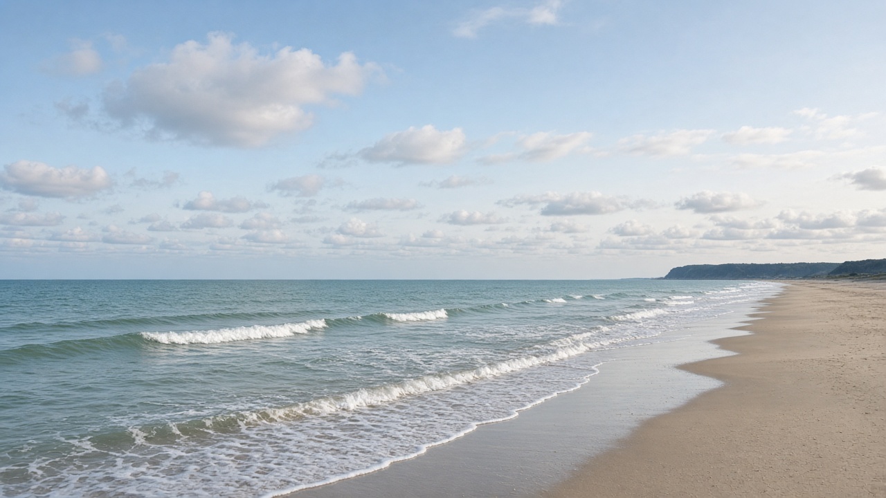 長い砂浜と、岸に寄せる波。