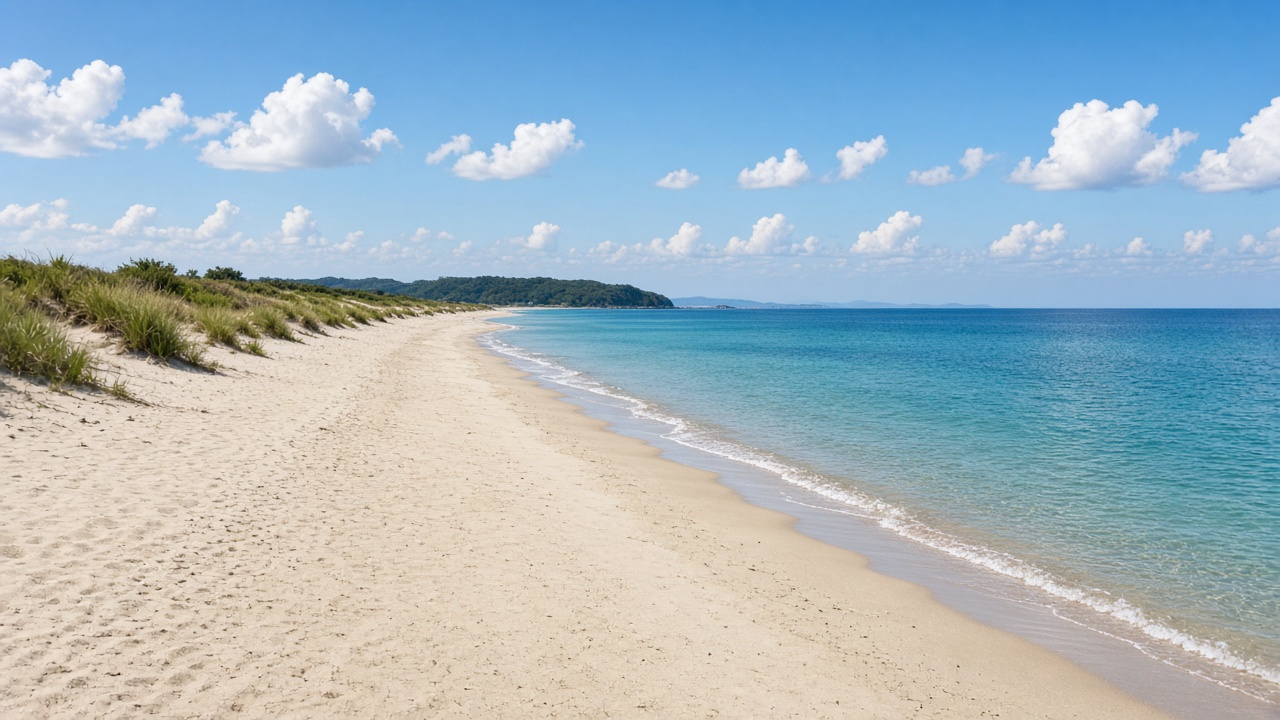 砂丘の草の向こうまで続く、太平洋の砂浜。