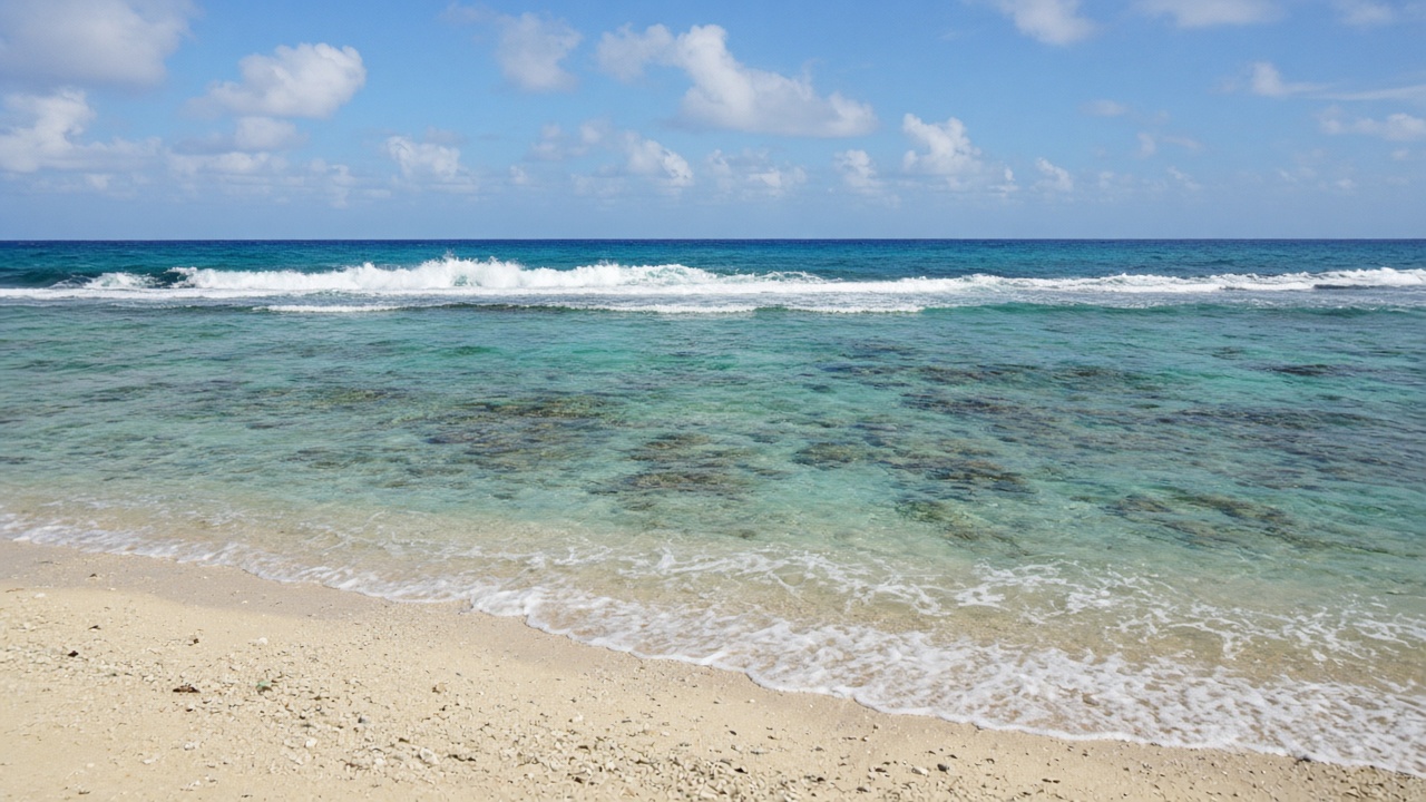 透き通った浅瀬と、沖で砕ける波。