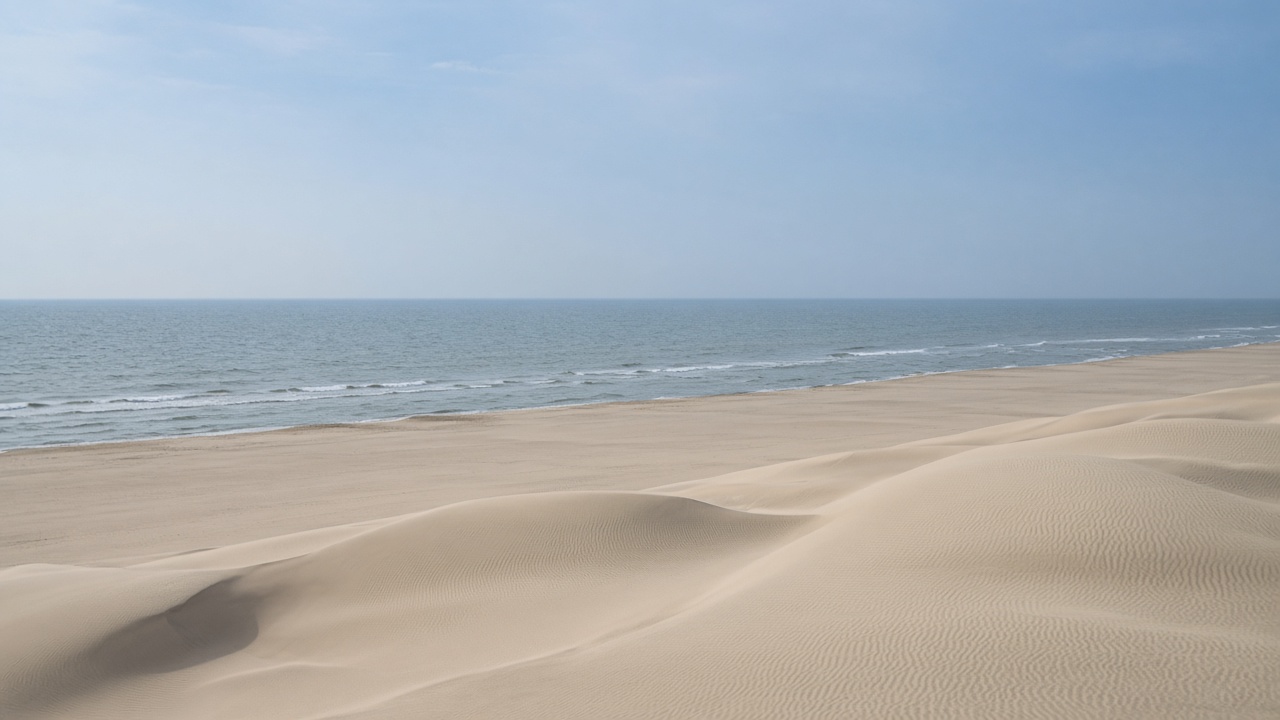 砂丘の向こうに、日本海が続く。