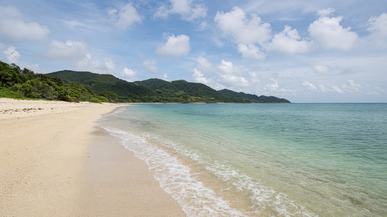 緑の山を背にした、亜熱帯の砂浜。